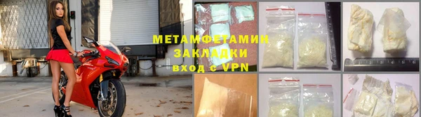 прущие грибы Балахна