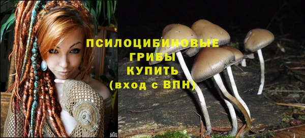 гидра Белокуриха