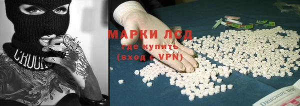 гидра Белокуриха